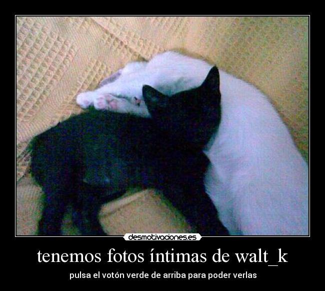 tenemos fotos íntimas de walt_k -
