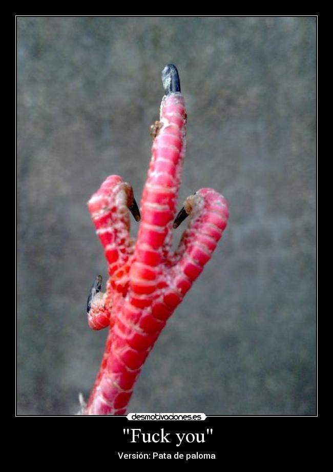 Fuck you - 