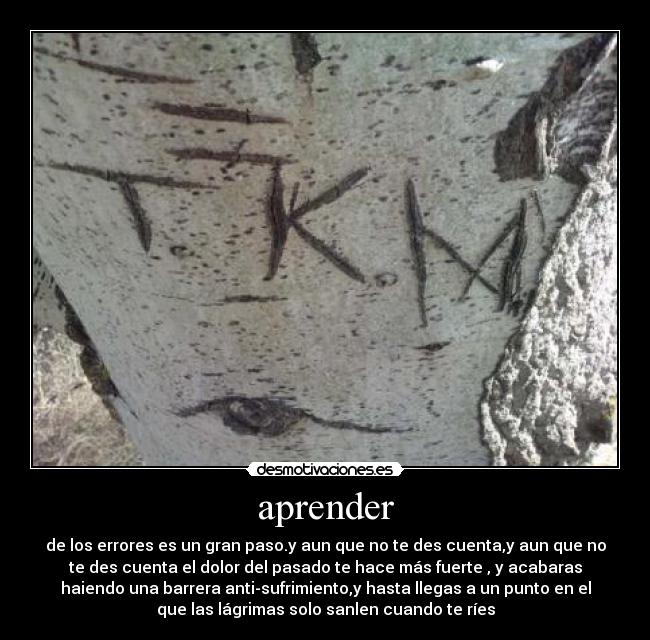 aprender - de los errores es un gran paso.y aun que no te des cuenta,y aun que no
te des cuenta el dolor del pasado te hace más fuerte , y acabaras
haiendo una barrera anti-sufrimiento,y hasta llegas a un punto en el
que las lágrimas solo sanlen cuando te ríes