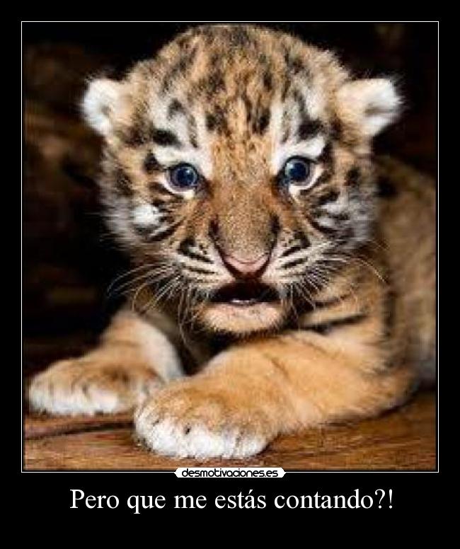 Pero que me estás contando?! -