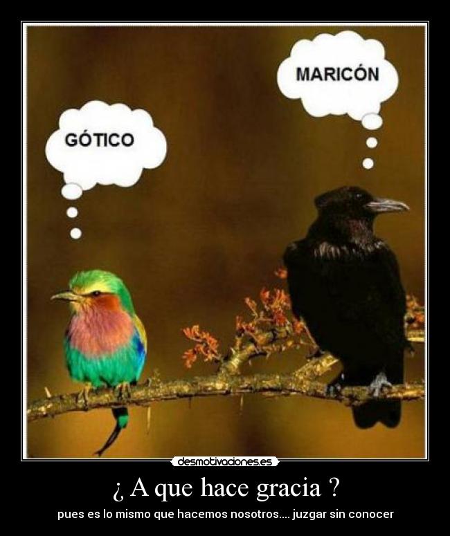 ¿ A que hace gracia ? -