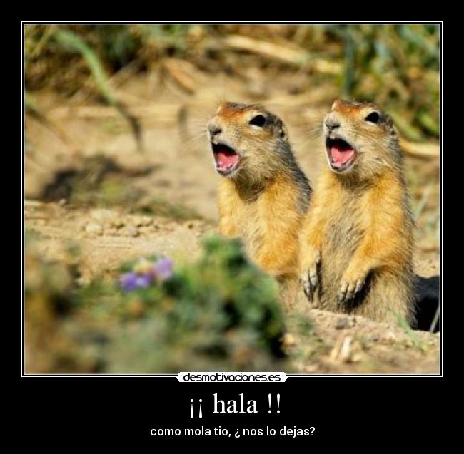 ¡¡ hala !! - como mola tio, ¿ nos lo dejas?