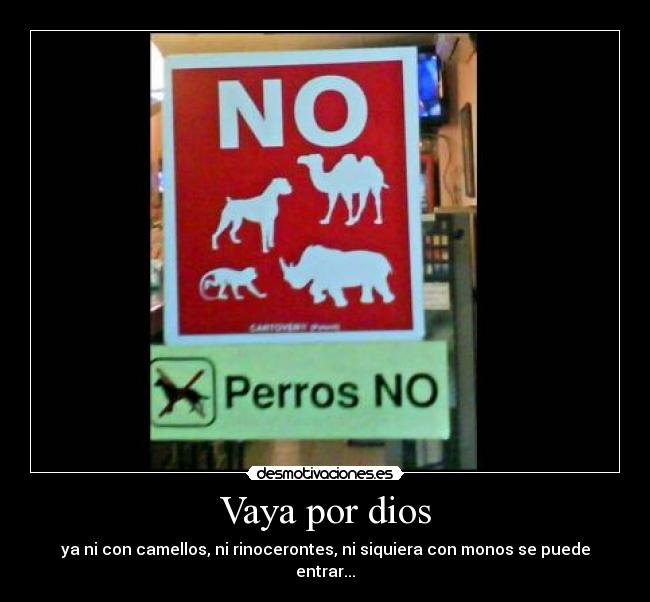 carteles dios vaya camellos rinocerontes monos perros desmotivaciones
