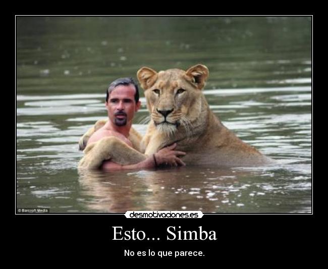 Esto... Simba - No es lo que parece.