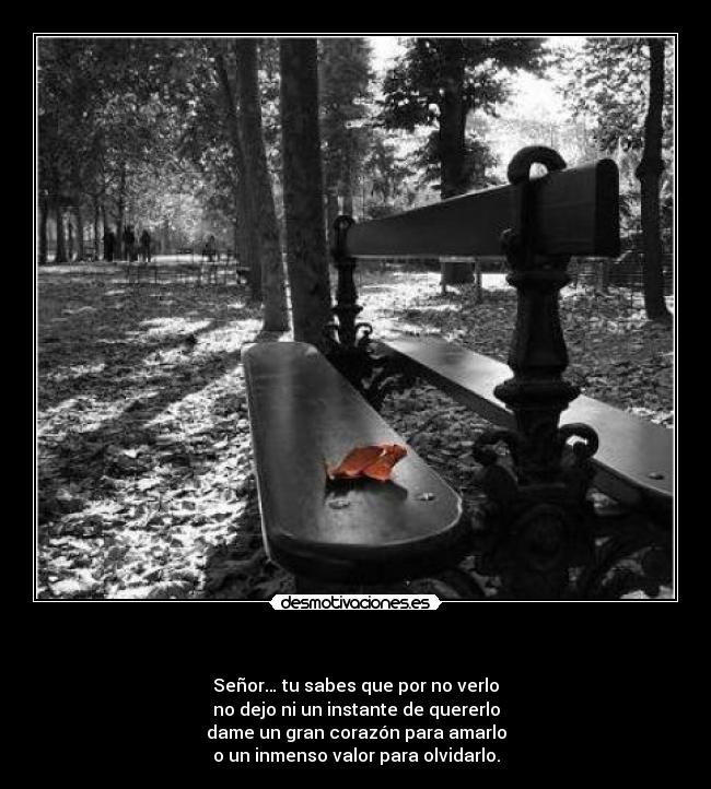  - Señor… tu sabes que por no verlo
no dejo ni un instante de quererlo
dame un gran corazón para amarlo
o un inmenso valor para olvidarlo.