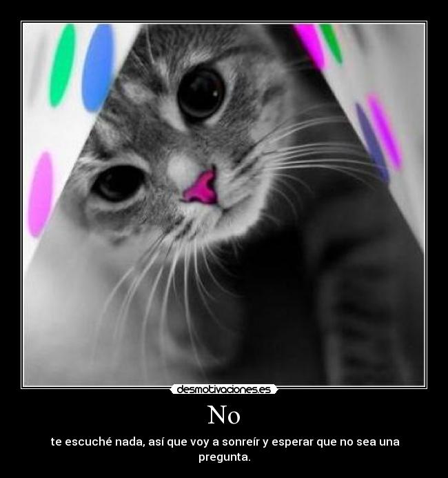 No -  te escuché nada, así que voy a sonreír y esperar que no sea una pregunta.