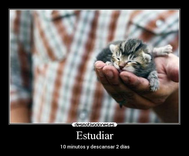 Estudiar - 10 minutos y descansar 2 días