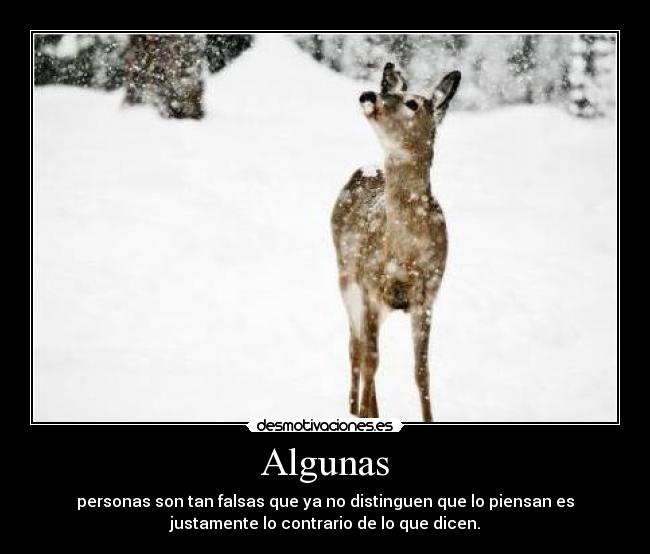 Algunas - personas son tan falsas que ya no distinguen que lo piensan es
justamente lo contrario de lo que dicen.