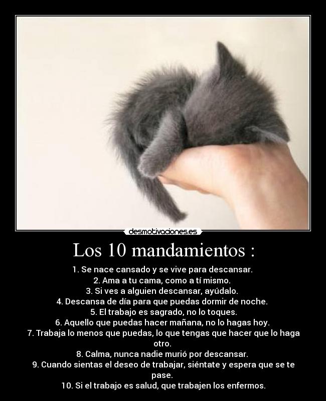 Los 10 mandamientos : - 1. Se nace cansado y se vive para descansar. 
2. Ama a tu cama, como a tí mismo. 
3. Si ves a alguien descansar, ayúdalo. 
4. Descansa de día para que puedas dormir de noche. 
5. El trabajo es sagrado, no lo toques.
6. Aquello que puedas hacer mañana, no lo hagas hoy. 
7. Trabaja lo menos que puedas, lo que tengas que hacer que lo haga otro. 
8. Calma, nunca nadie murió por descansar. 
9. Cuando sientas el deseo de trabajar, siéntate y espera que se te pase. 
10. Si el trabajo es salud, que trabajen los enfermos.