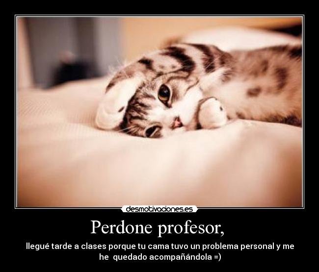Perdone profesor,  - llegué tarde a clases porque tu cama tuvo un problema personal y me
he  quedado acompañándola =)