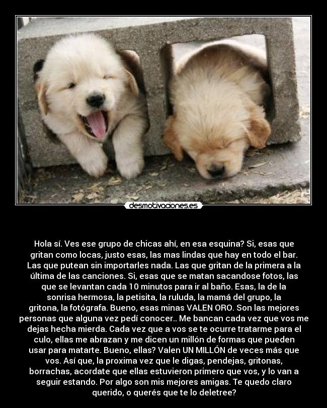  - Hola sí. Ves ese grupo de chicas ahí, en esa esquina? Si, esas que
gritan como locas, justo esas, las mas lindas que hay en todo el bar.
Las que putean sin importarles nada. Las que gritan de la primera a la
última de las canciones. Si, esas que se matan sacandose fotos, las
que se levantan cada 10 minutos para ir al baño. Esas, la de la
sonrisa hermosa, la petisita, la ruluda, la mamá del grupo, la
gritona, la fotógrafa. Bueno, esas minas VALEN ORO. Son las mejores
personas que alguna vez pedí conocer.. Me bancan cada vez que vos me
dejas hecha mierda. Cada vez que a vos se te ocurre tratarme para el
culo, ellas me abrazan y me dicen un millón de formas que pueden
usar para matarte. Bueno, ellas? Valen UN MILLÓN de veces más que
vos. Así que, la proxima vez que le digas, pendejas, gritonas,
borrachas, acordate que ellas estuvieron primero que vos, y lo van a
seguir estando. Por algo son mis mejores amigas. Te quedo claro
querido, o querés que te lo deletree?