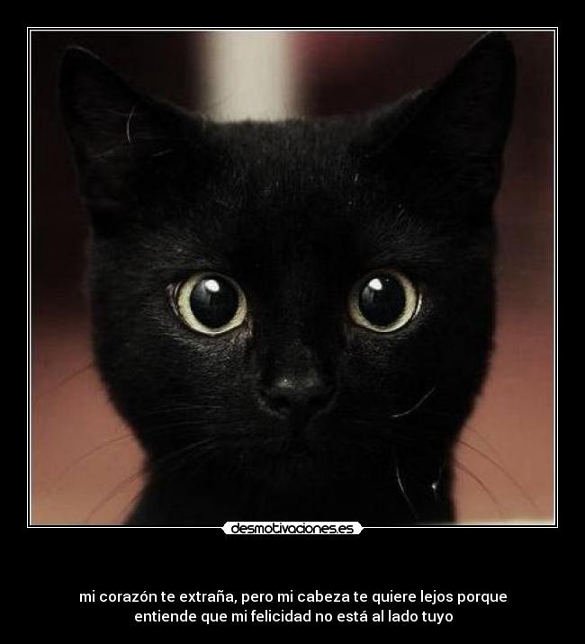  - mi corazón te extraña, pero mi cabeza te quiere lejos porque
entiende que mi felicidad no está al lado tuyo