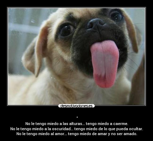 . - No le tengo miedo a las alturas... tengo miedo a caerme.
No le tengo miedo a la oscuridad... tengo miedo de lo que pueda ocultar.
No le tengo miedo al amor... tengo miedo de amar y no ser amado.