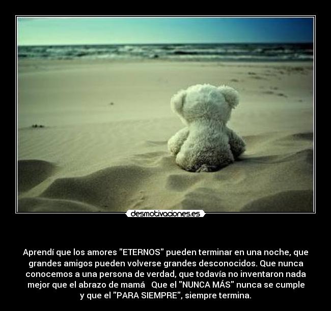  - Aprendí que los amores ETERNOS pueden terminar en una noche, que
grandes amigos pueden volverse grandes desconocidos. Que nunca
conocemos a una persona de verdad, que todavía no inventaron nada
mejor que el abrazo de mamá ♥ Que el NUNCA MÁS nunca se cumple
y que el PARA SIEMPRE, siempre termina.