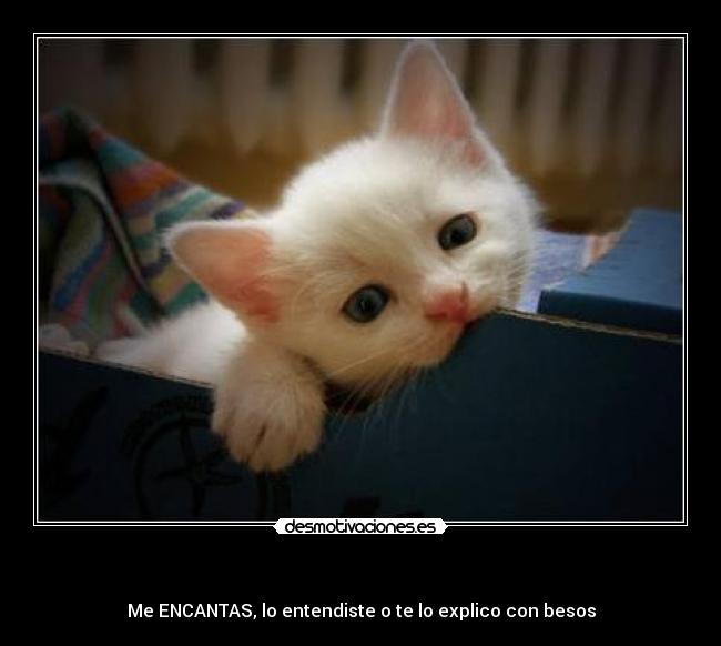  - Me ENCANTAS, lo entendiste o te lo explico con besos