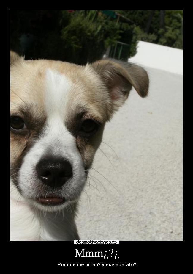 carteles deed desmotivaciones