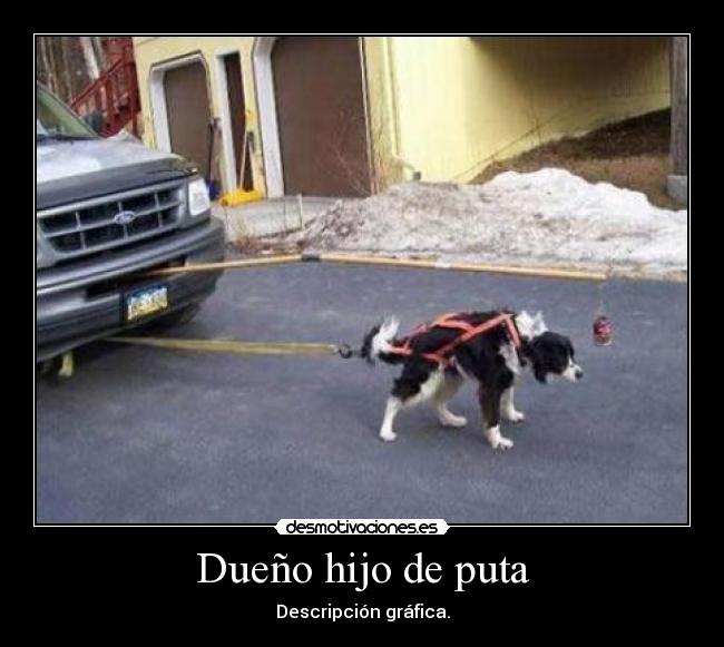 Dueño hijo de puta -