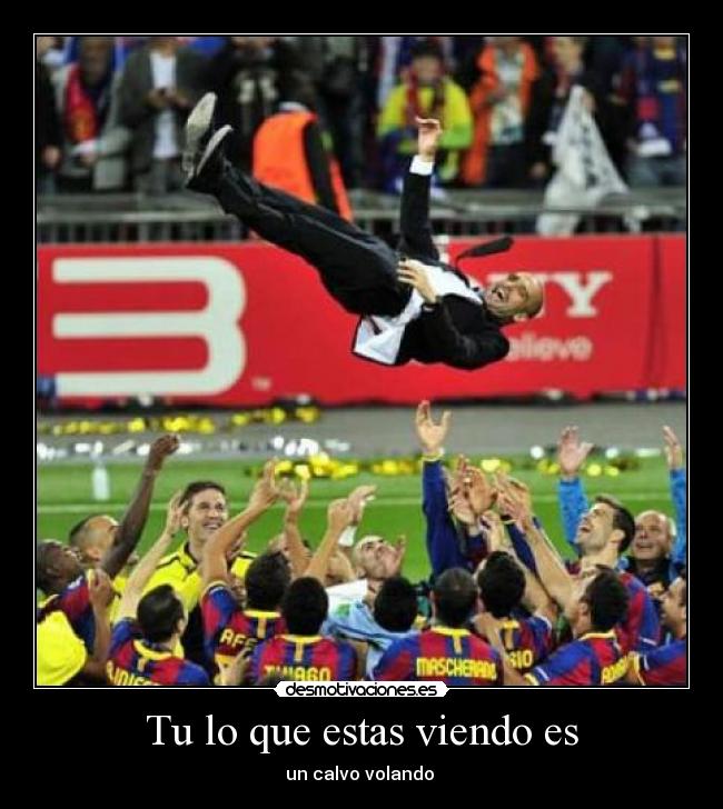 Tu lo que estas viendo es -