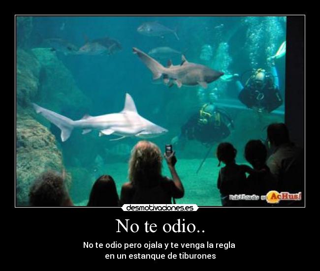 No te odio.. - No te odio pero ojala y te venga la regla 
en un estanque de tiburones