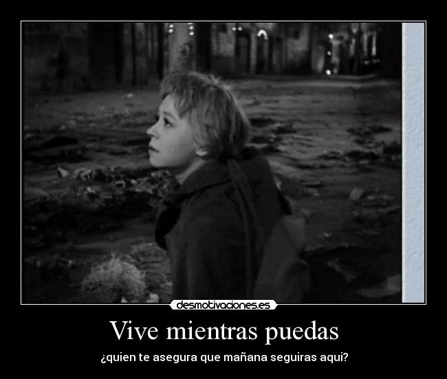 carteles vive desmotivaciones