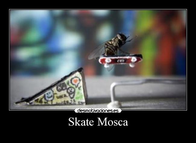 Skate Mosca - 