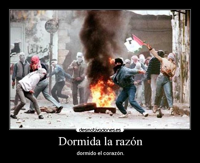 carteles sucro desmotivaciones