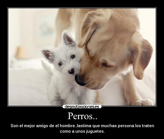 carteles 5555 desmotivaciones