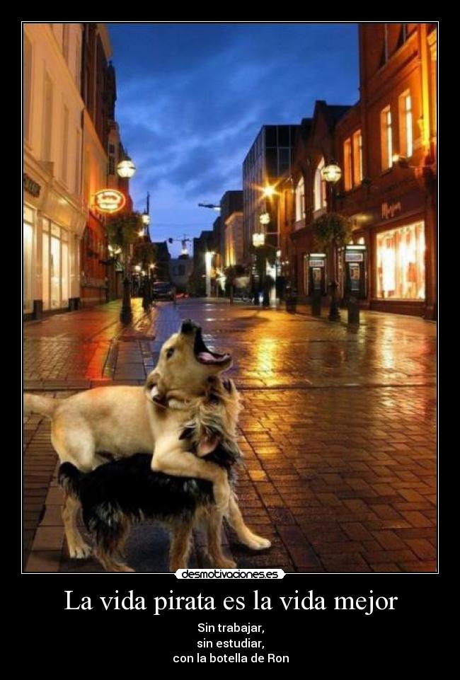 La vida pirata es la vida mejor -