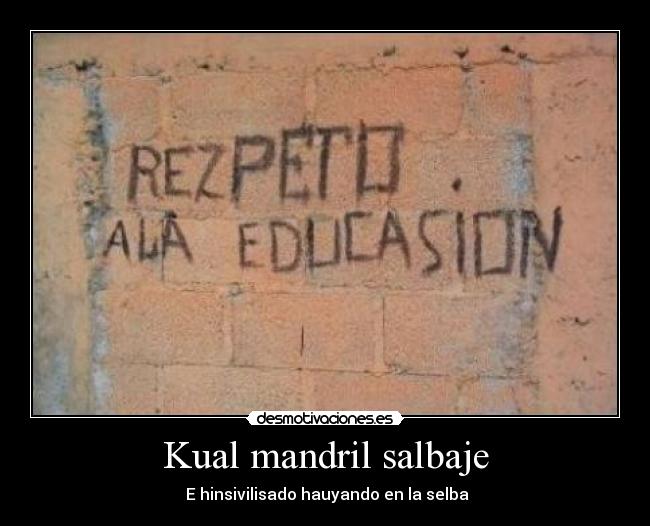 Kual mandril salbaje - 