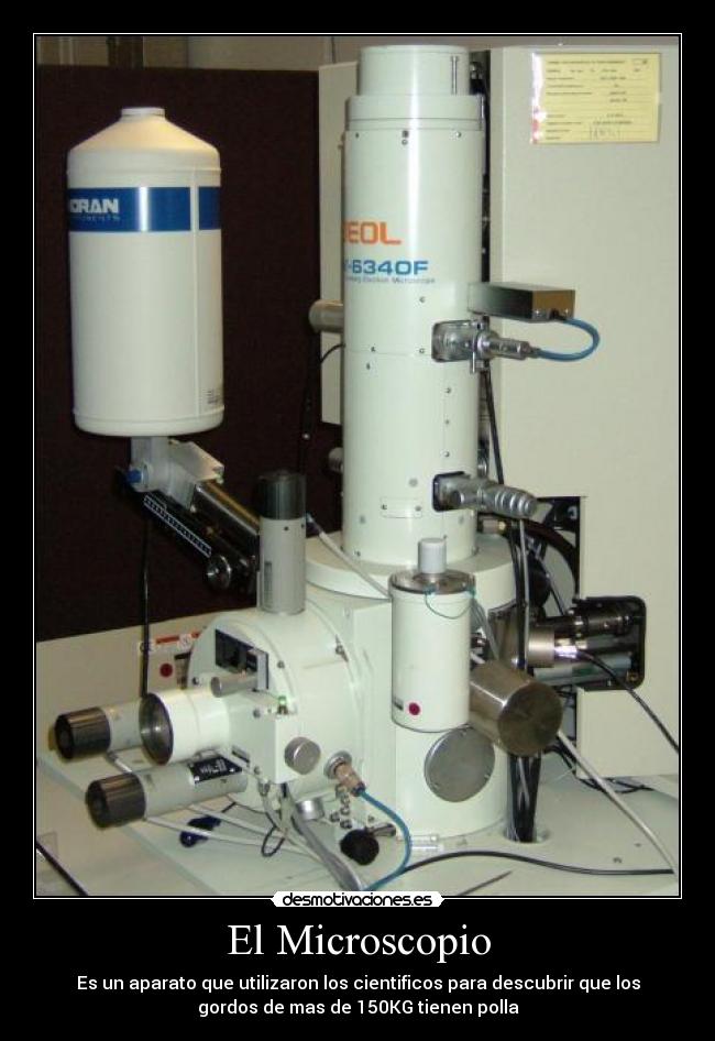 carteles votad positivoooo desmotivaciones