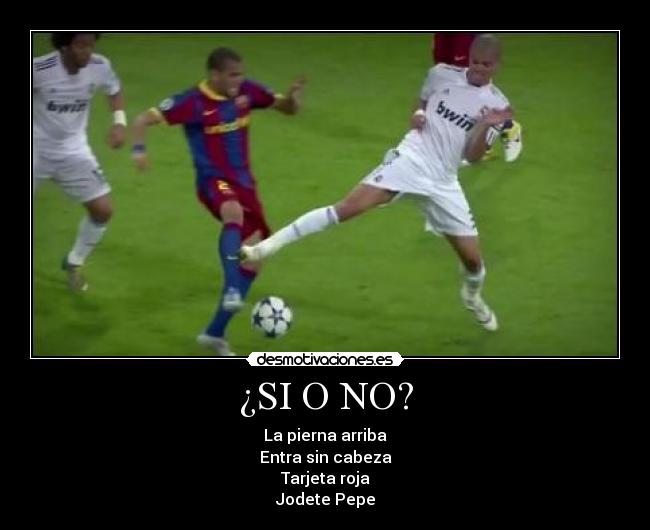 ¿SI O NO? -