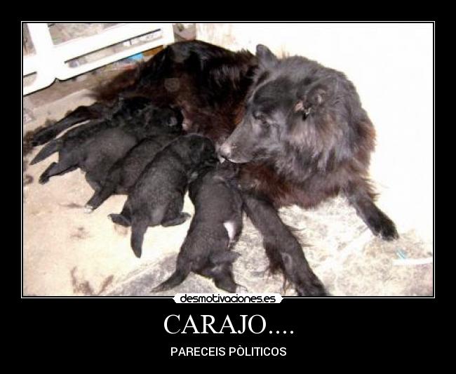 CARAJO.... -
