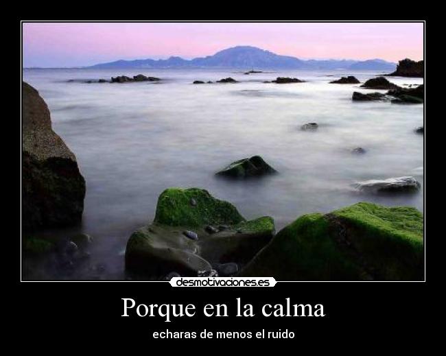 Porque en la calma -
