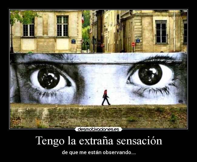 carteles observar desmotivaciones