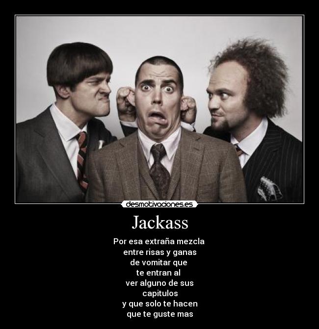 Jackass - Por esa extraña mezcla
entre risas y ganas
de vomitar que
te entran al
ver alguno de sus
capitulos
y que solo te hacen
que te guste mas