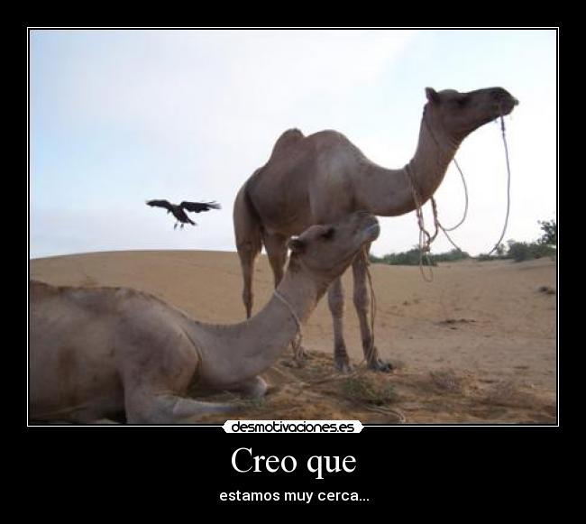 Creo que - estamos muy cerca...