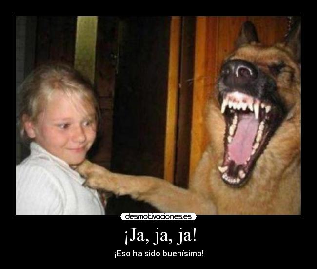 carteles perro risa jajaja desmotivaciones