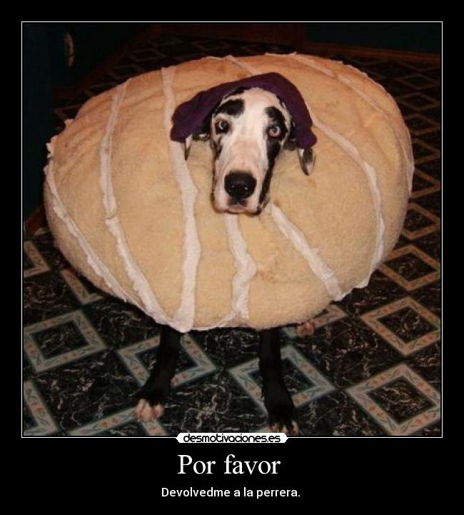 Por favor  - 