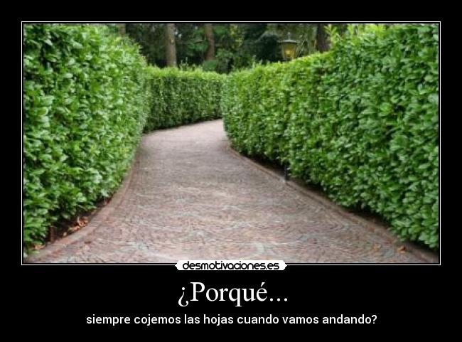 ¿Porqué... - 