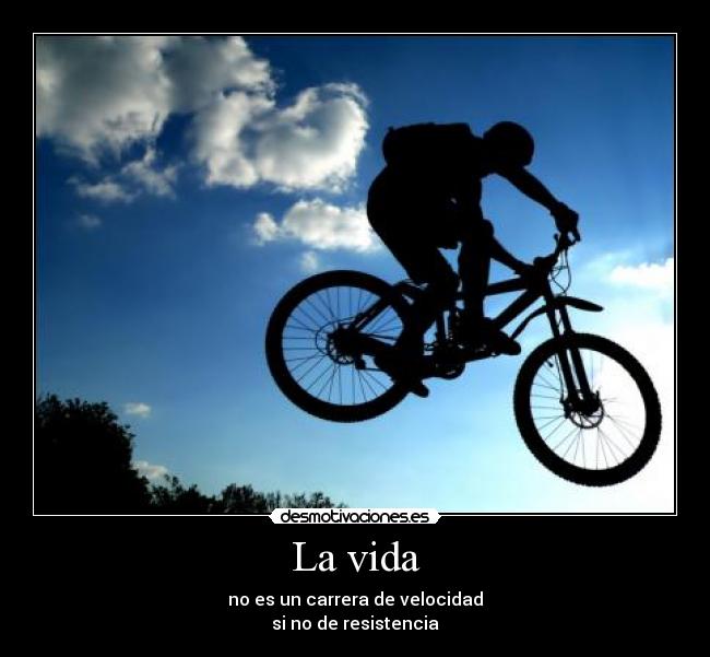 carteles vida vida desmotivaciones