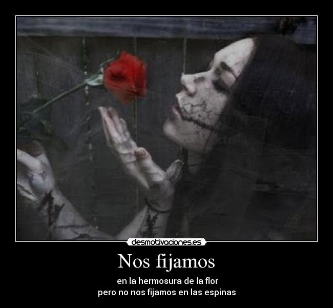 Nos fijamos - en la hermosura de la flor
pero no nos fijamos en las espinas