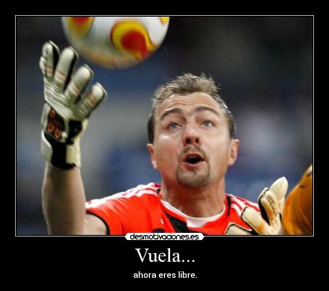 Vuela... -