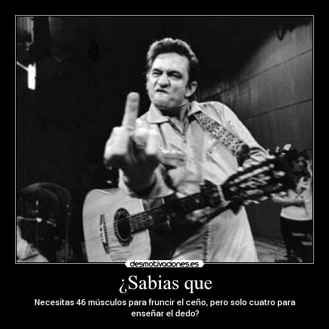 ¿Sabias que - Necesitas 46 músculos para fruncir el ceño, pero solo cuatro para enseñar el dedo?