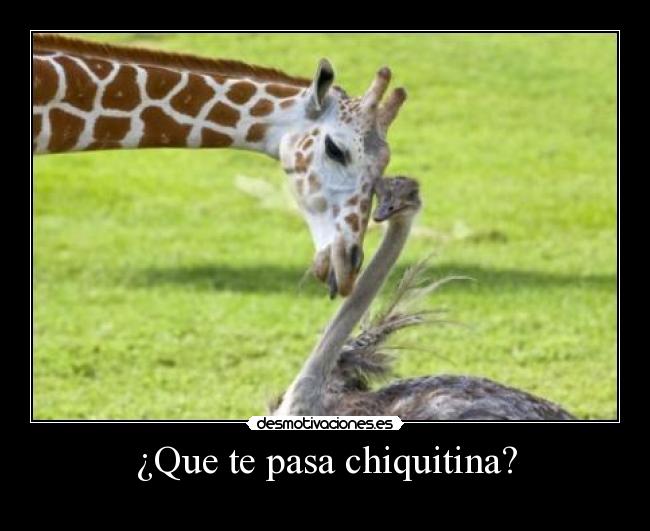 ¿Que te pasa chiquitina? - 