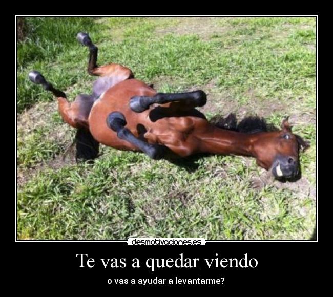 Te vas a quedar viendo -