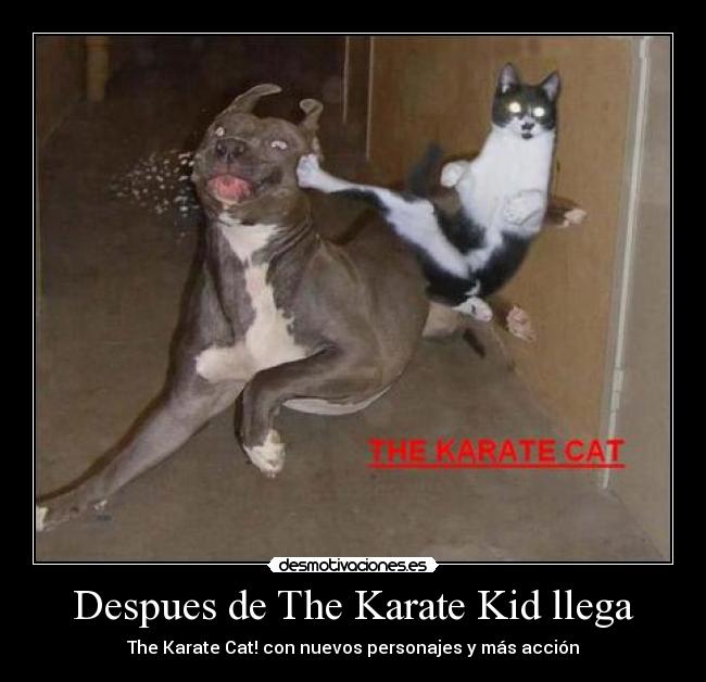 Despues de The Karate Kid llega - 