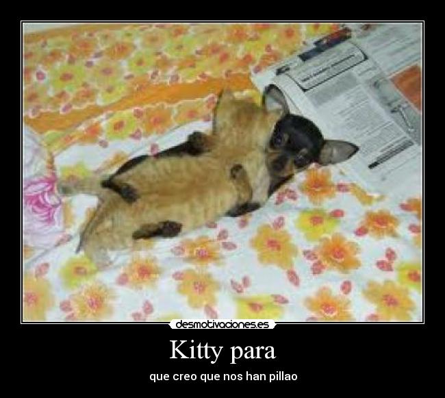 Kitty para -