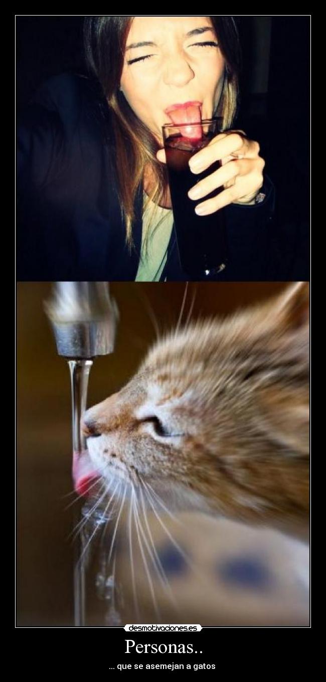 Personas.. - ... que se asemejan a gatos 
