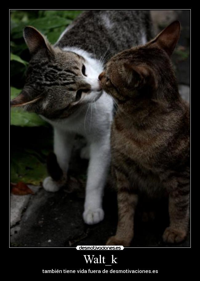 Walt_k - también tiene vida fuera de desmotivaciones.es