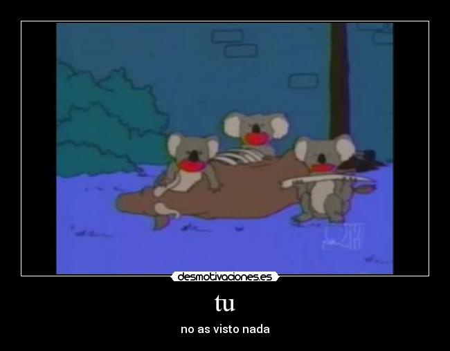 tu - no as visto nada